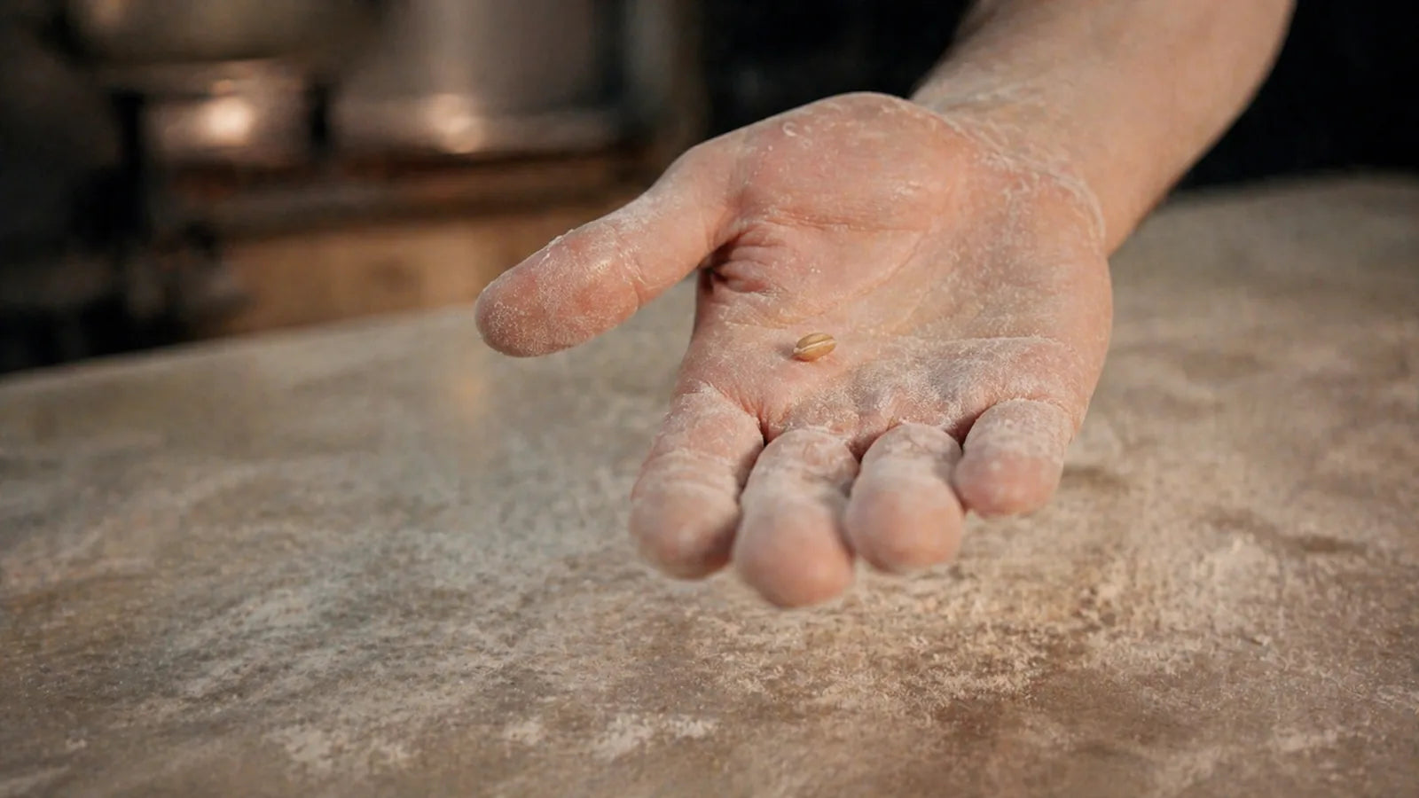 Chicco di grano antico nelle mani del fornaio durante la lavorazione