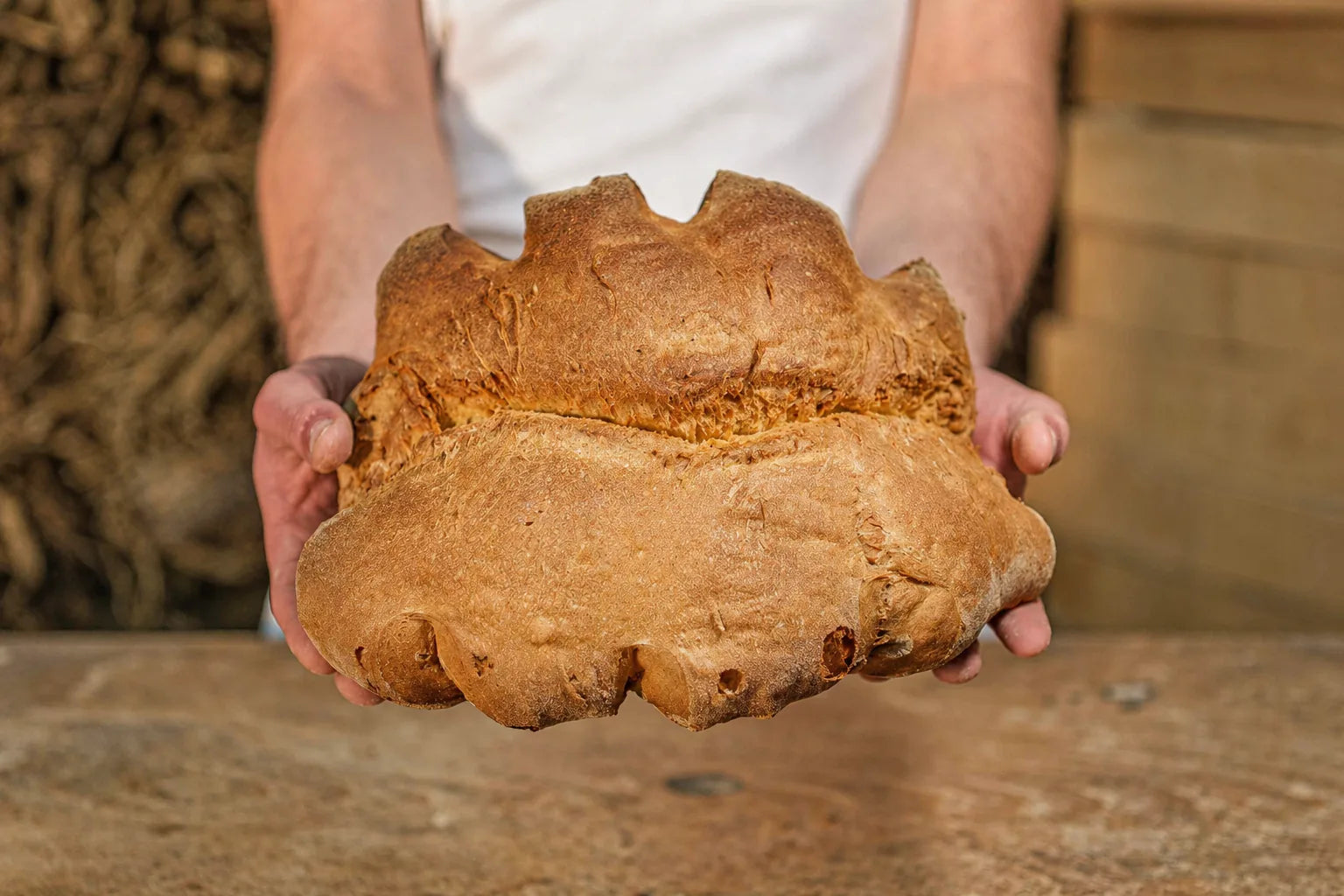 Pane di Matera artigianale del Panificio Perrone con crosta spessa e dorata