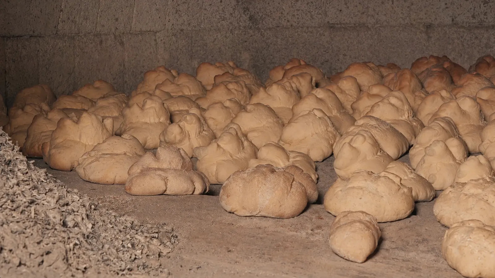 Pagnotte di pane in cottura nel forno del Panificio Perrone