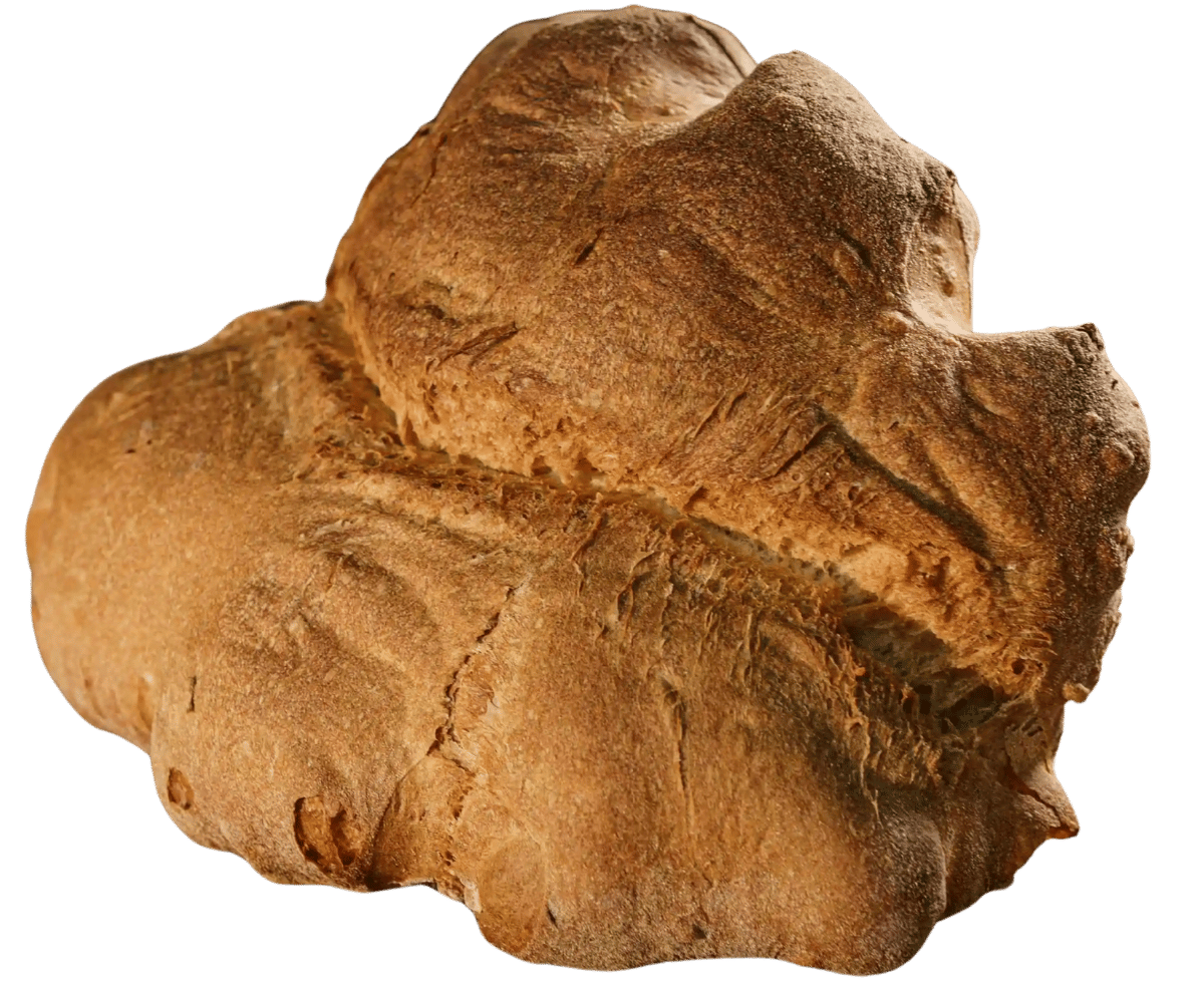 Immagine senza sfondo del pane di matera